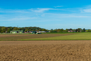 田野风光宁静乡村美景