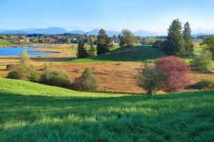 田园风光美景