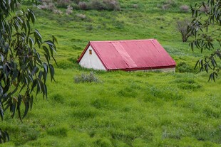 绿野中的红顶小屋