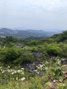 山间绿野风景