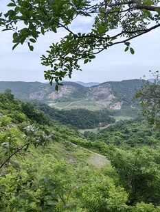 山间绿意盎然的秀丽景色