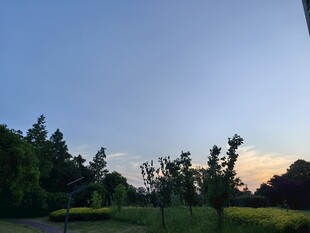 黄昏下的树林与开阔田野