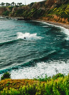 海岸边的翠绿与翻涌海浪