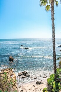 海边风光椰树