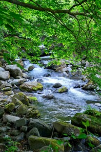 山间溪流绿意