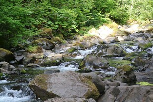 山间溪流潺潺