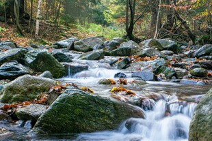 山间溪流潺潺石上