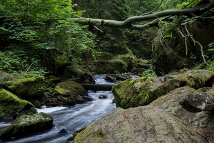 山间溪流穿林