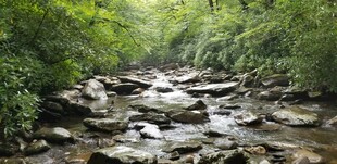 山间溪流布满嶙峋