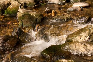 山间溪流潺潺