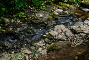 山间溪流与嶙峋怪石