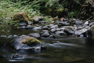 山间溪流与嶙峋怪石