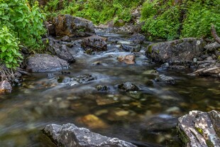 山间溪流潺潺绿意
