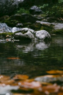 山间清澈溪流中的