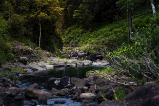 山间溪流绿意盎然