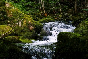 山林间的潺潺溪流