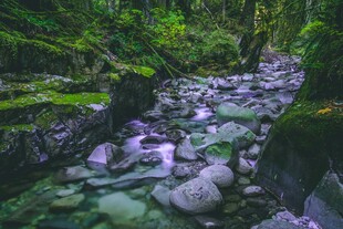 山间溪流铺满多彩