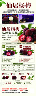 优质杨梅  新鲜美味上市