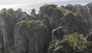 海岸嶙峋岩石与繁茂植被