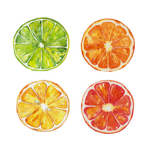 多彩柑橘切片水彩插画