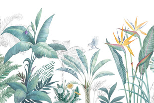 清新手绘热带植物插画