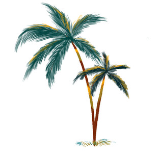 两棵棕榈树插画