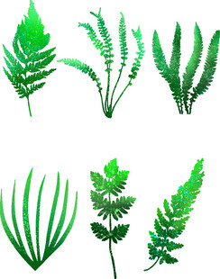 多样绿色植物叶片集合