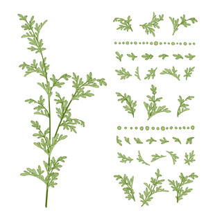 绿色植物枝叶矢量素材图