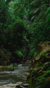 山间溪流旁的