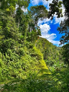 翠绿山林间的自然美景
