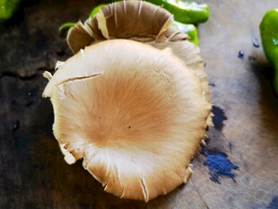 新鲜平菇
