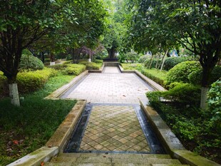 幽静园林小径景观