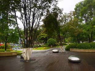 雨中静谧的城市园林景观