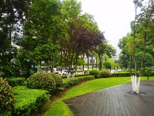 城市公园绿意盎然步道景观