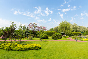 美丽园林景观