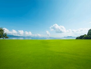 广袤绿草地与蓝天美景
