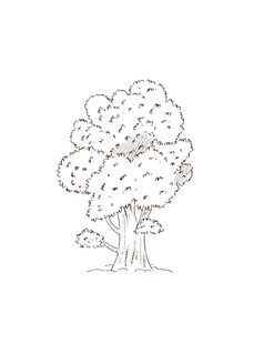 树简笔画