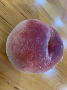桃子