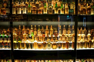 琳琅满目的酒类陈列架
