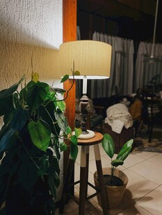 温馨室内绿植