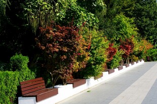 路边多彩绿植与长椅景观