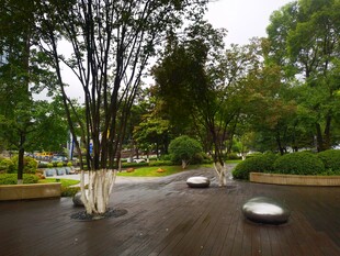 雨中静谧的公园景观