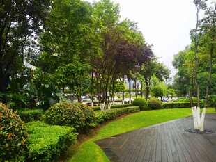 公园绿意盎然的景观步道