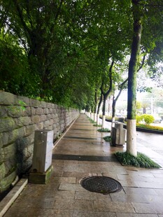 林荫下的静谧步道