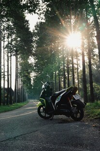 林间公路上的酷炫摩托车