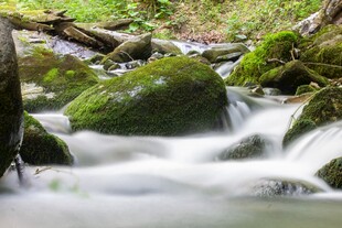 山间溪流潺潺