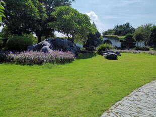 美丽花园草坪景观