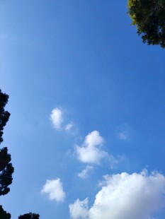 蓝天飘白云