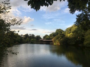 湖畔美景