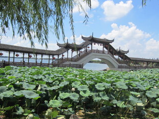 荷塘古桥美景
